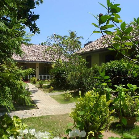 Top Of The Hill Guesthouse فيليغاما المظهر الخارجي الصورة
