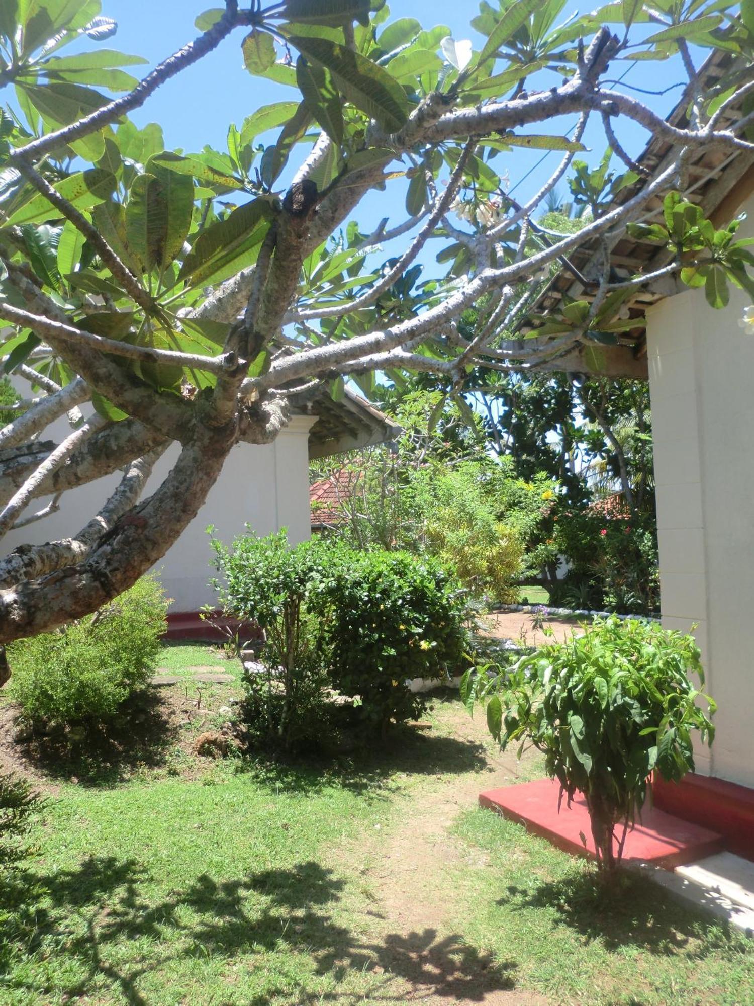Top Of The Hill Guesthouse فيليغاما المظهر الخارجي الصورة